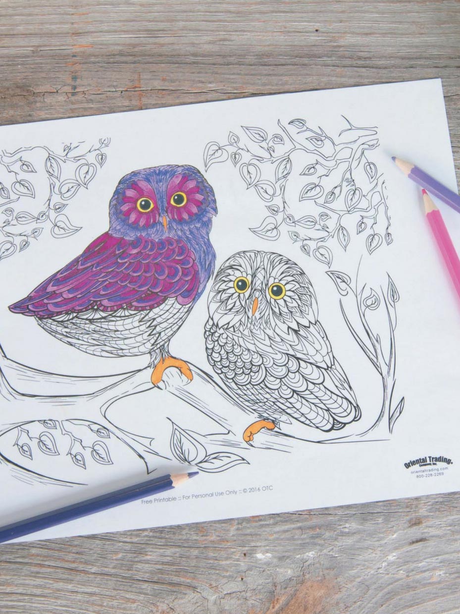 Owl Scene Adult Coloring Page
