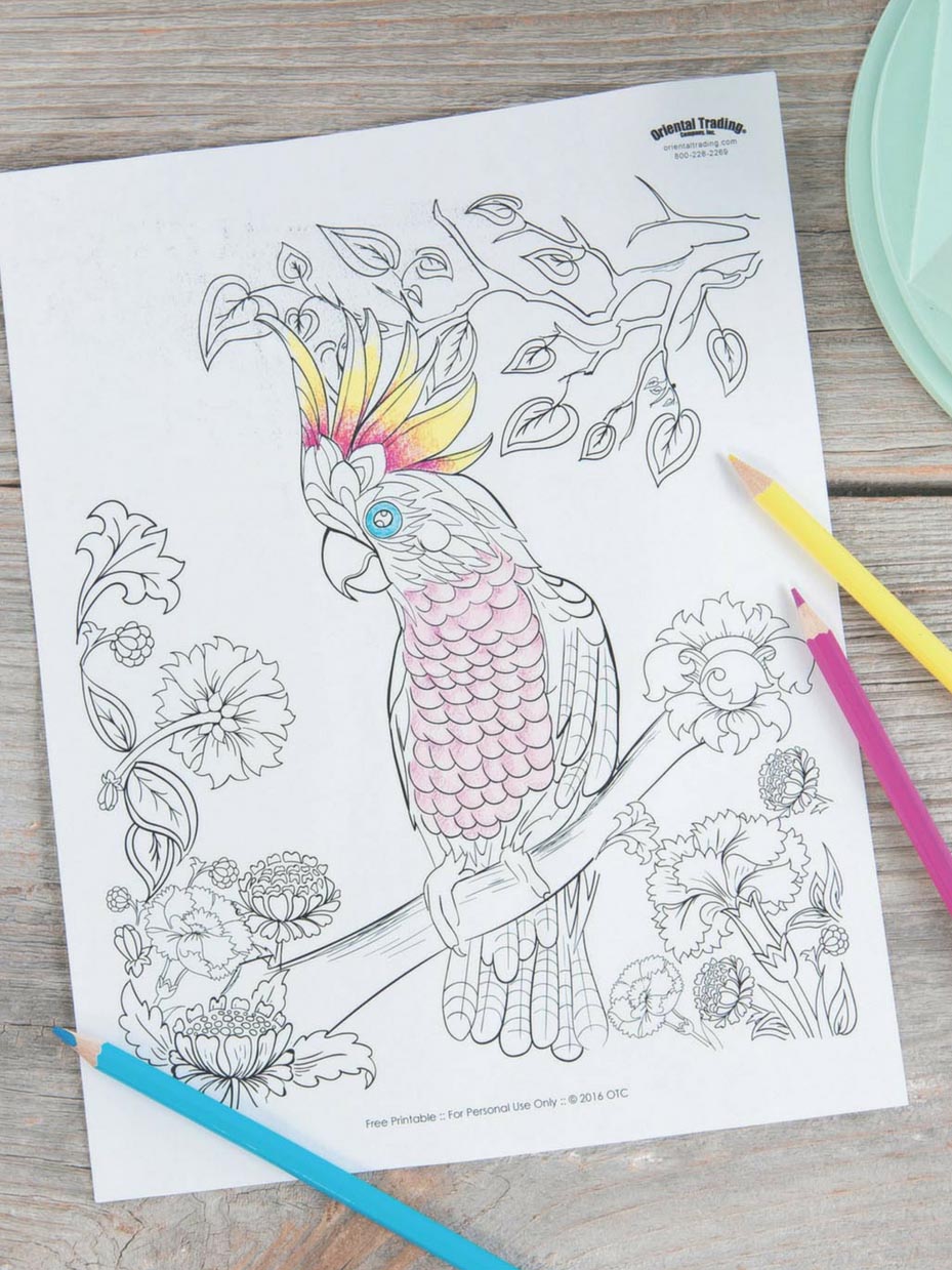 Parrot Scene Adult Coloring Page