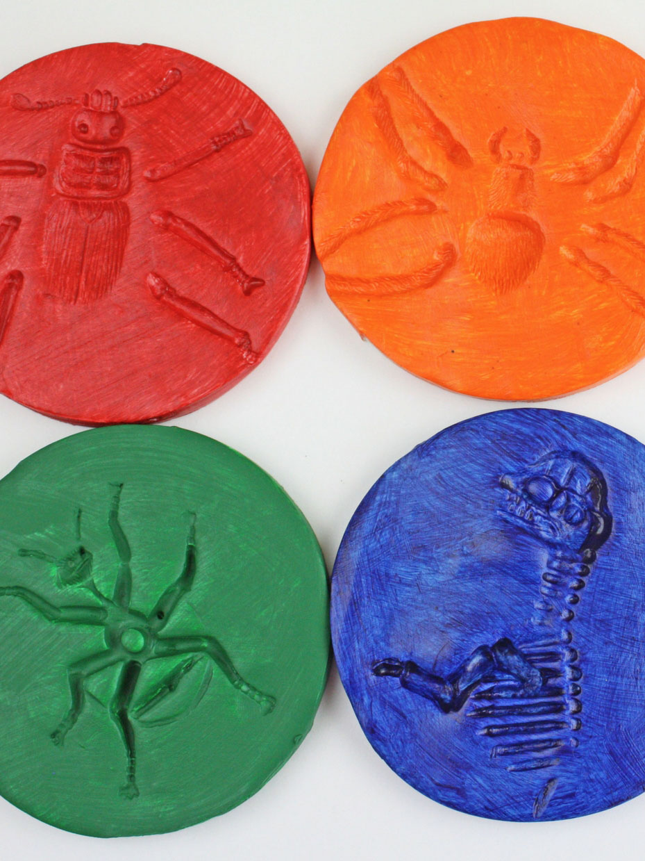 How to Make Clay Fossils
