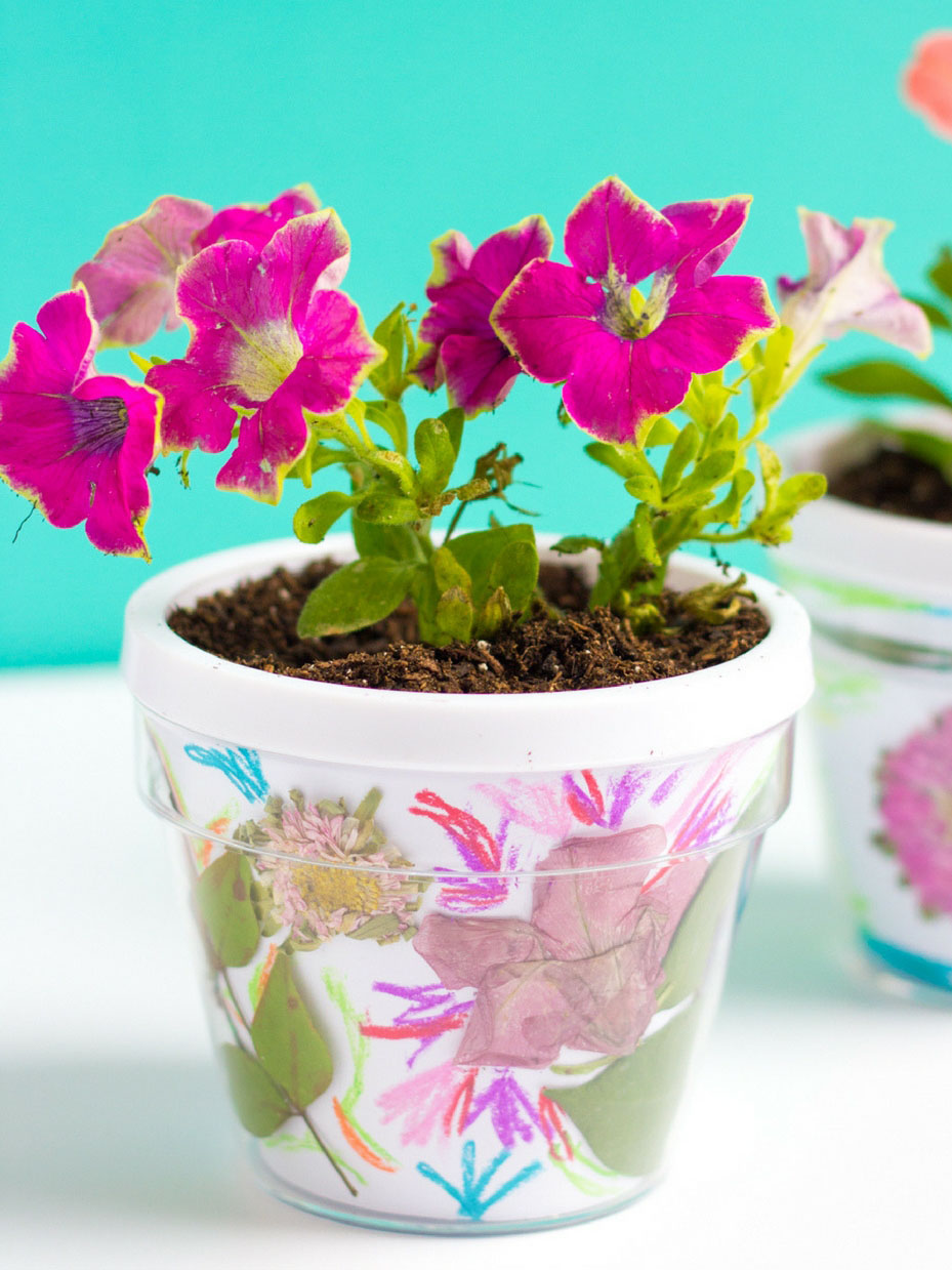 Pressed Foliage Flower Pots
