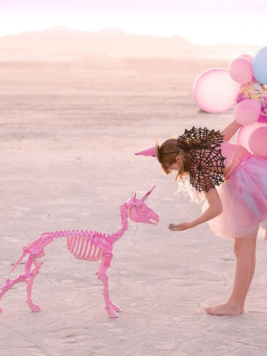 Magical Pet Unicorn