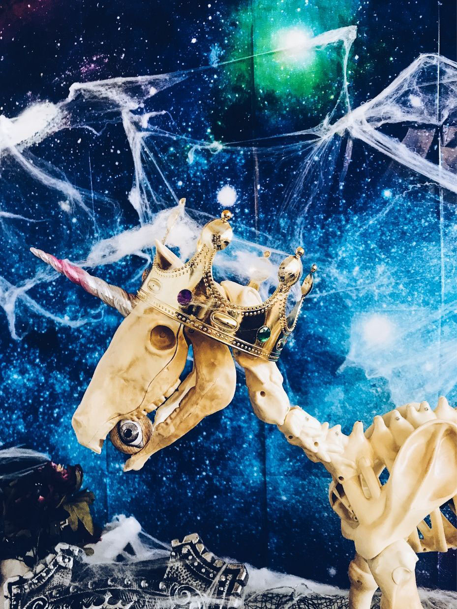 Unicorns In Space