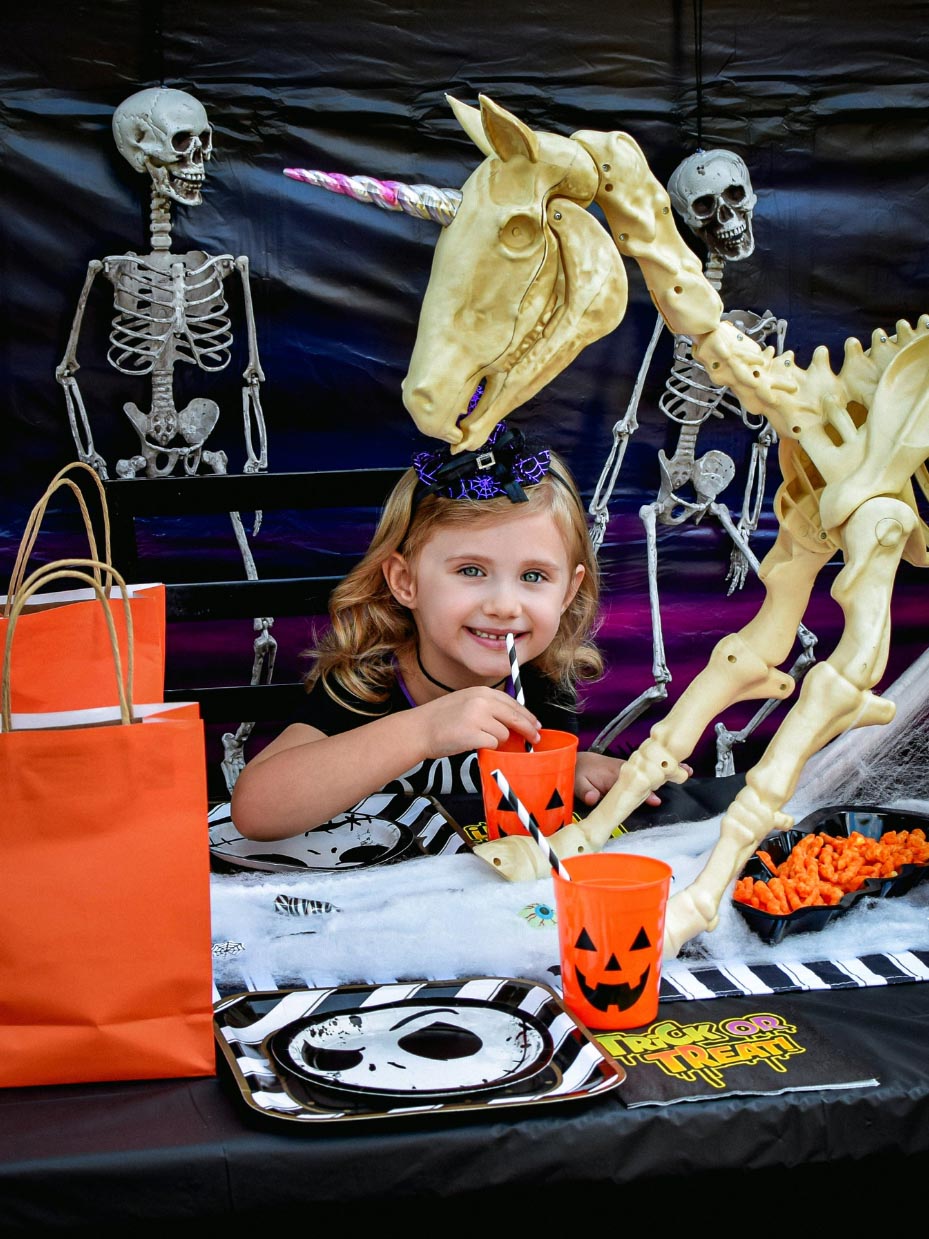 Halloween Unicorn Party Theme