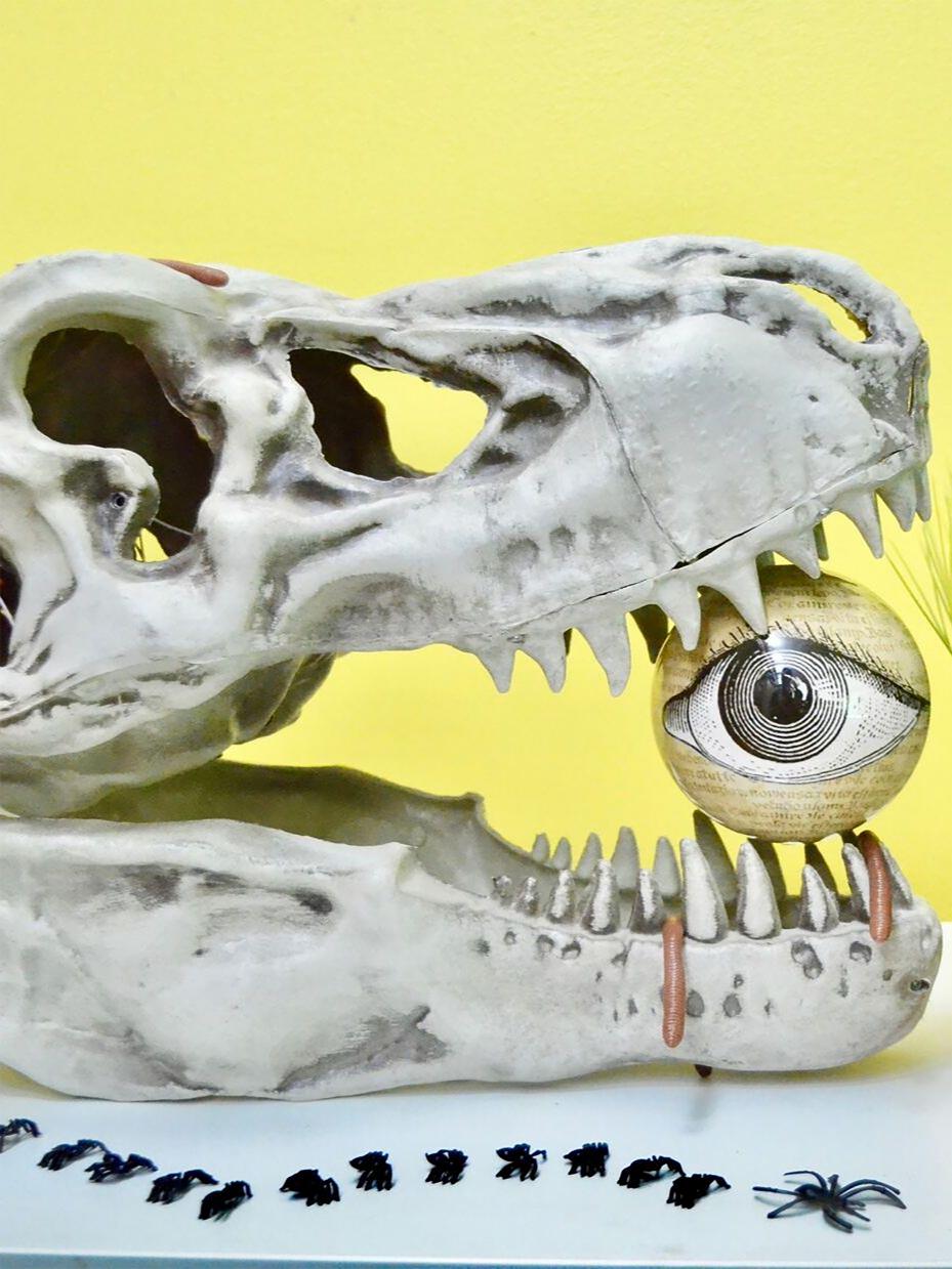 Eye Spy a T-Rex