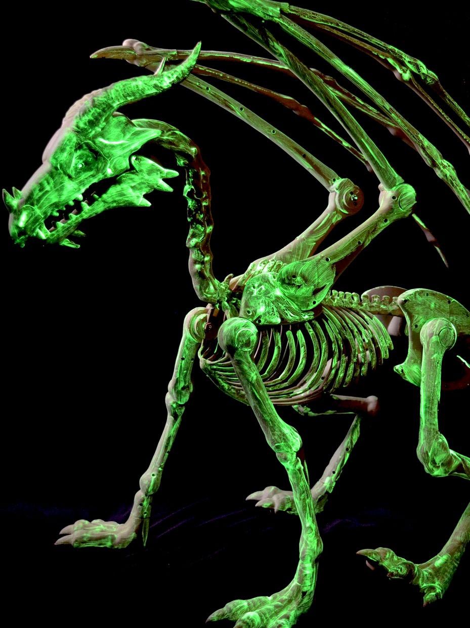 Glow in the Dark Dragon Skeleton