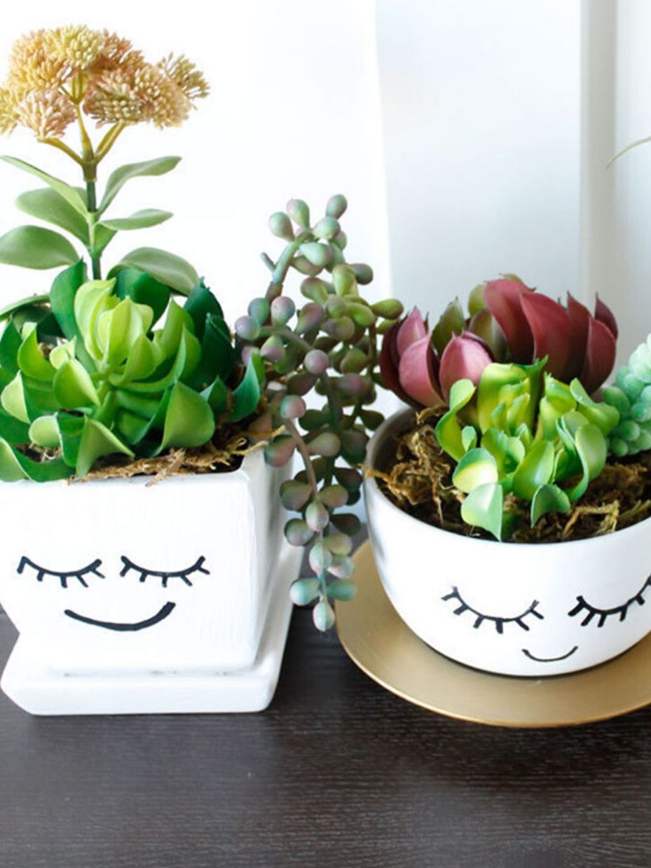 Smiling DIY Succulent Planters