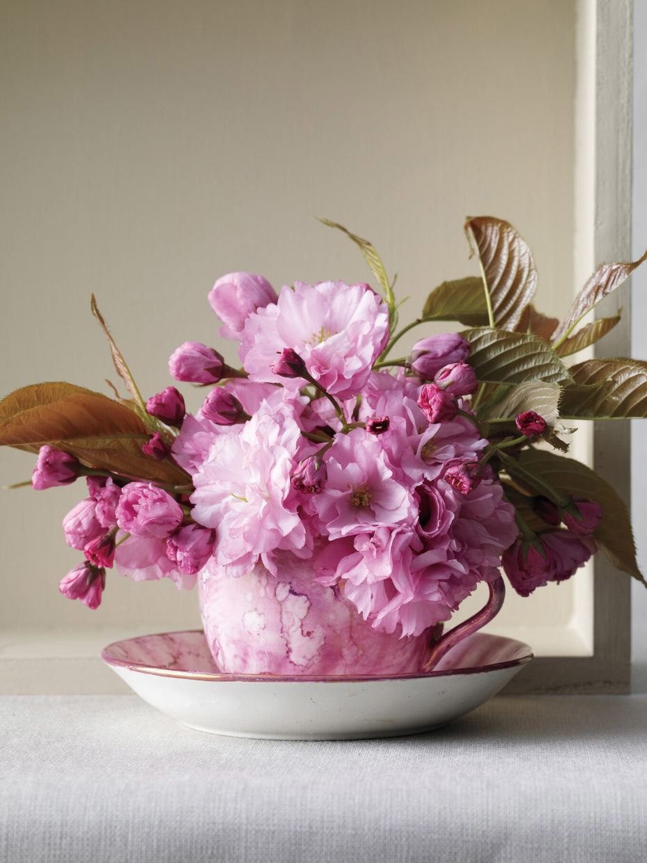 Teacup Centerpiece