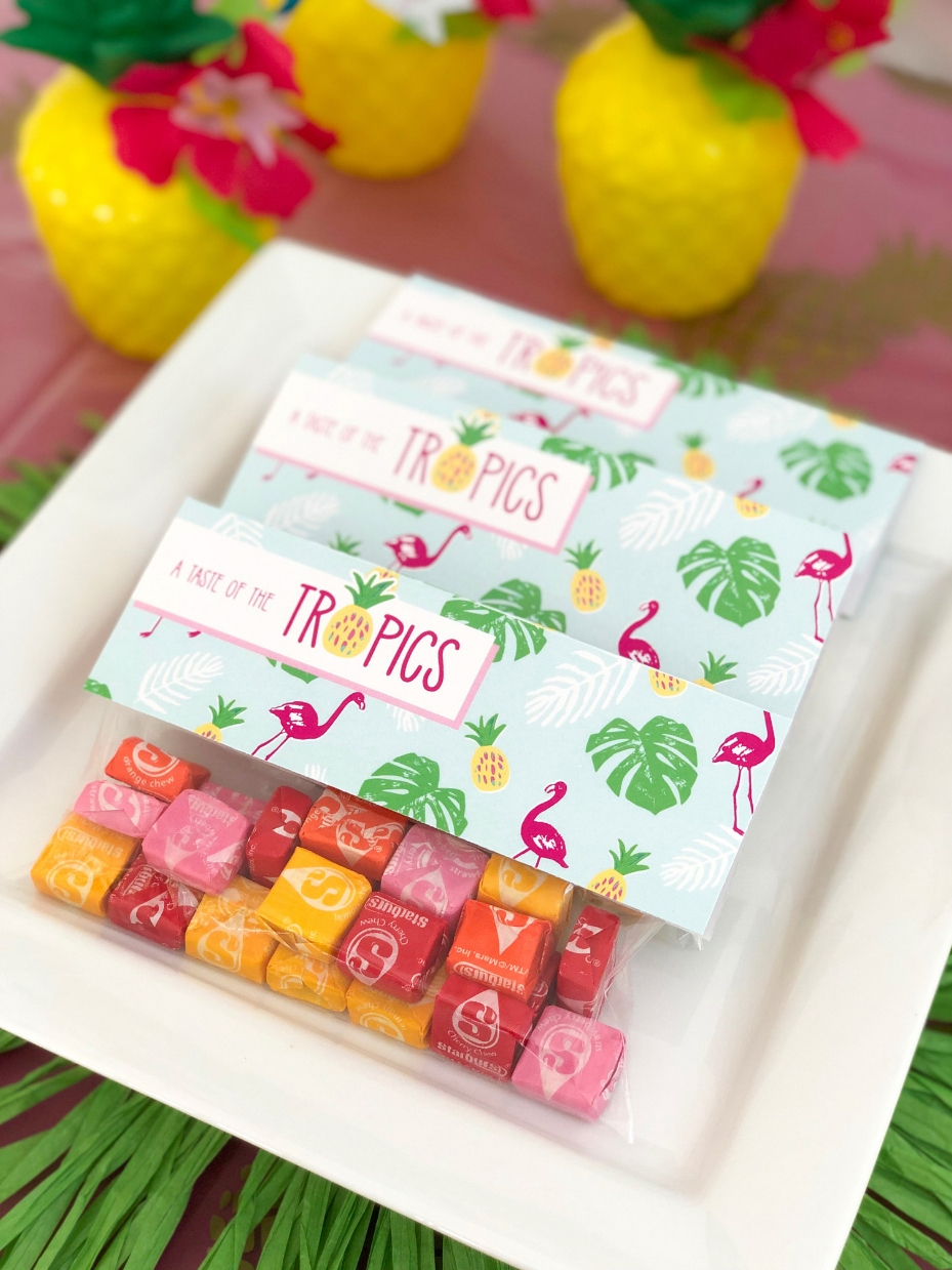 Tropical Snack Bag Toppers
