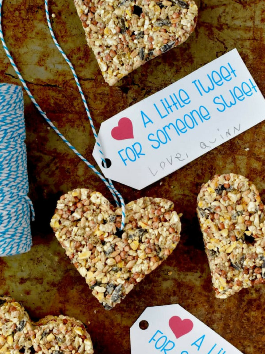 Valentine's Day Birdfeeders