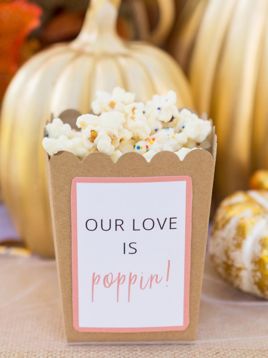 Popcorn Wedding Favor