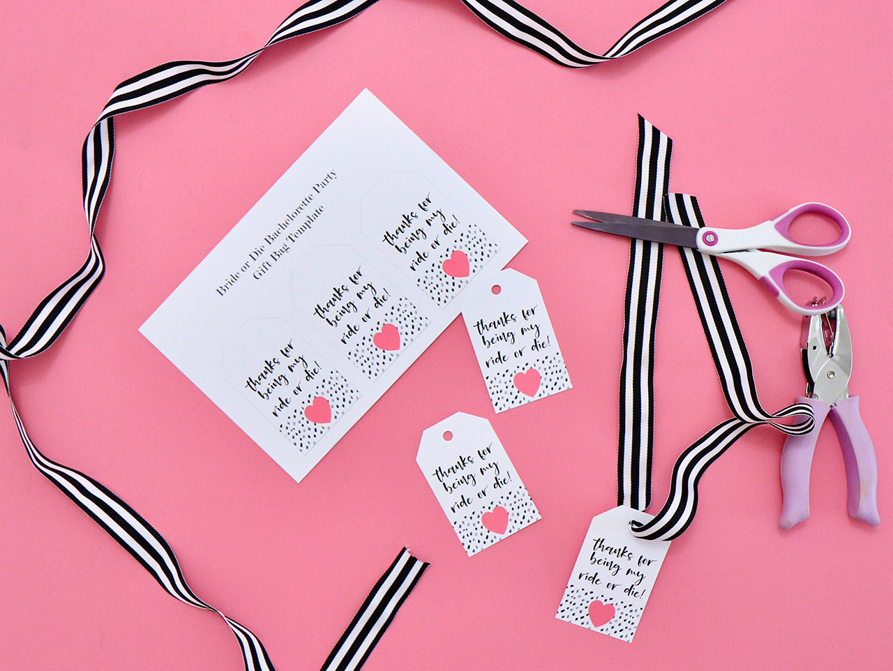 Bachelor  Bachelorette Napkins Matches Cups and Favors  For Your Party