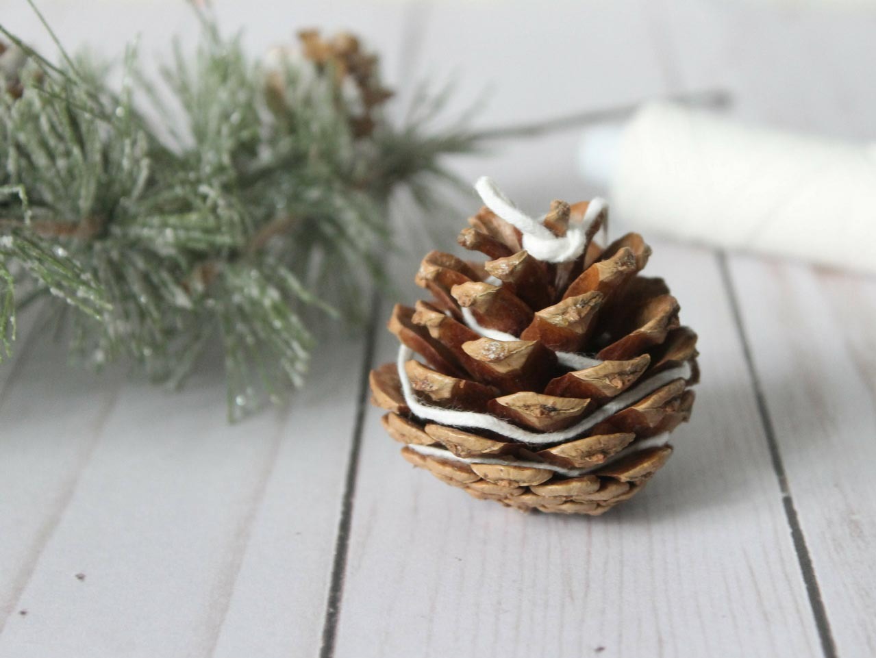 DIY Pine Cone Fire Starter Place Card | Fun365