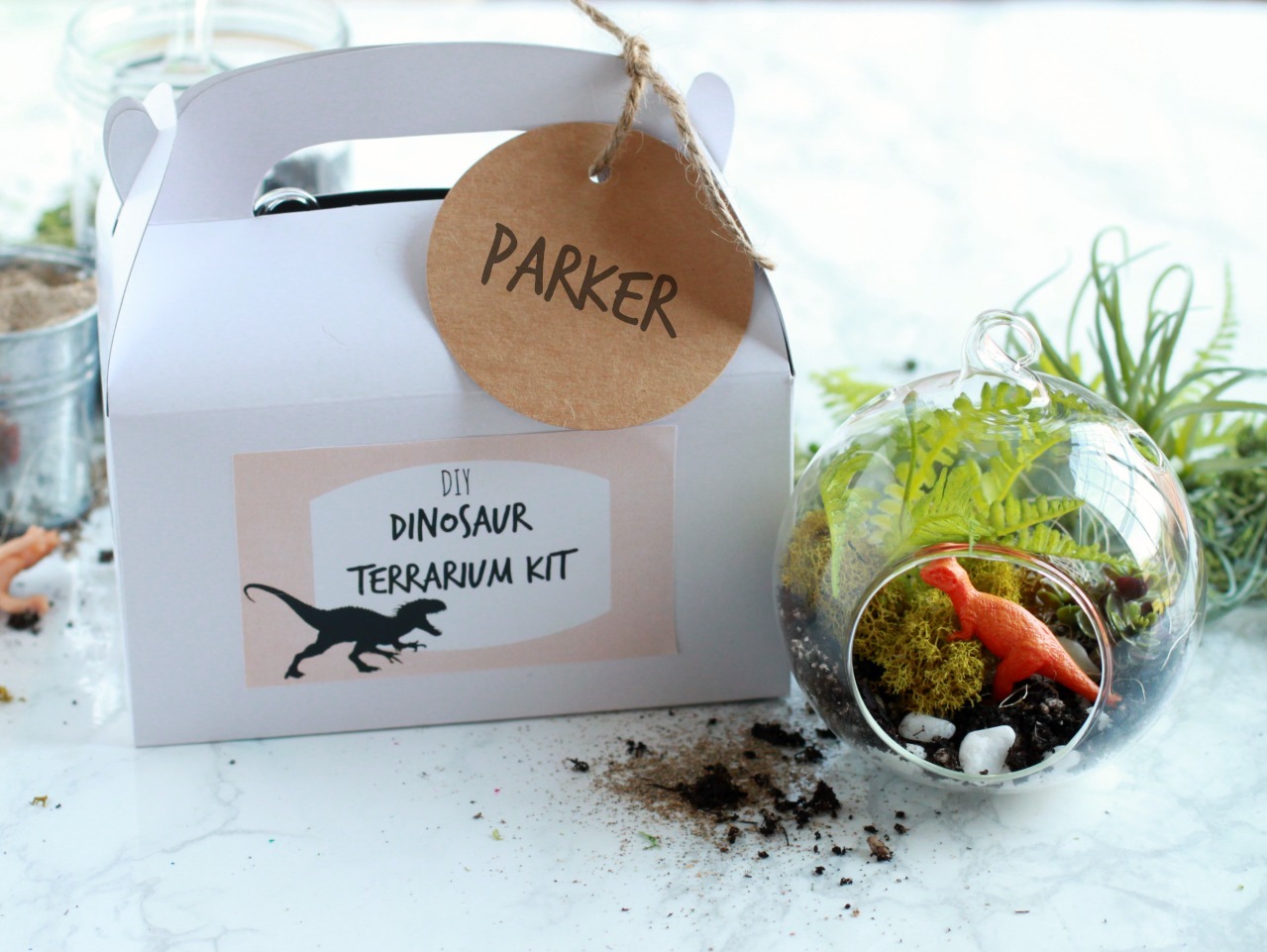 Kit terrarium - Be Vegetal !