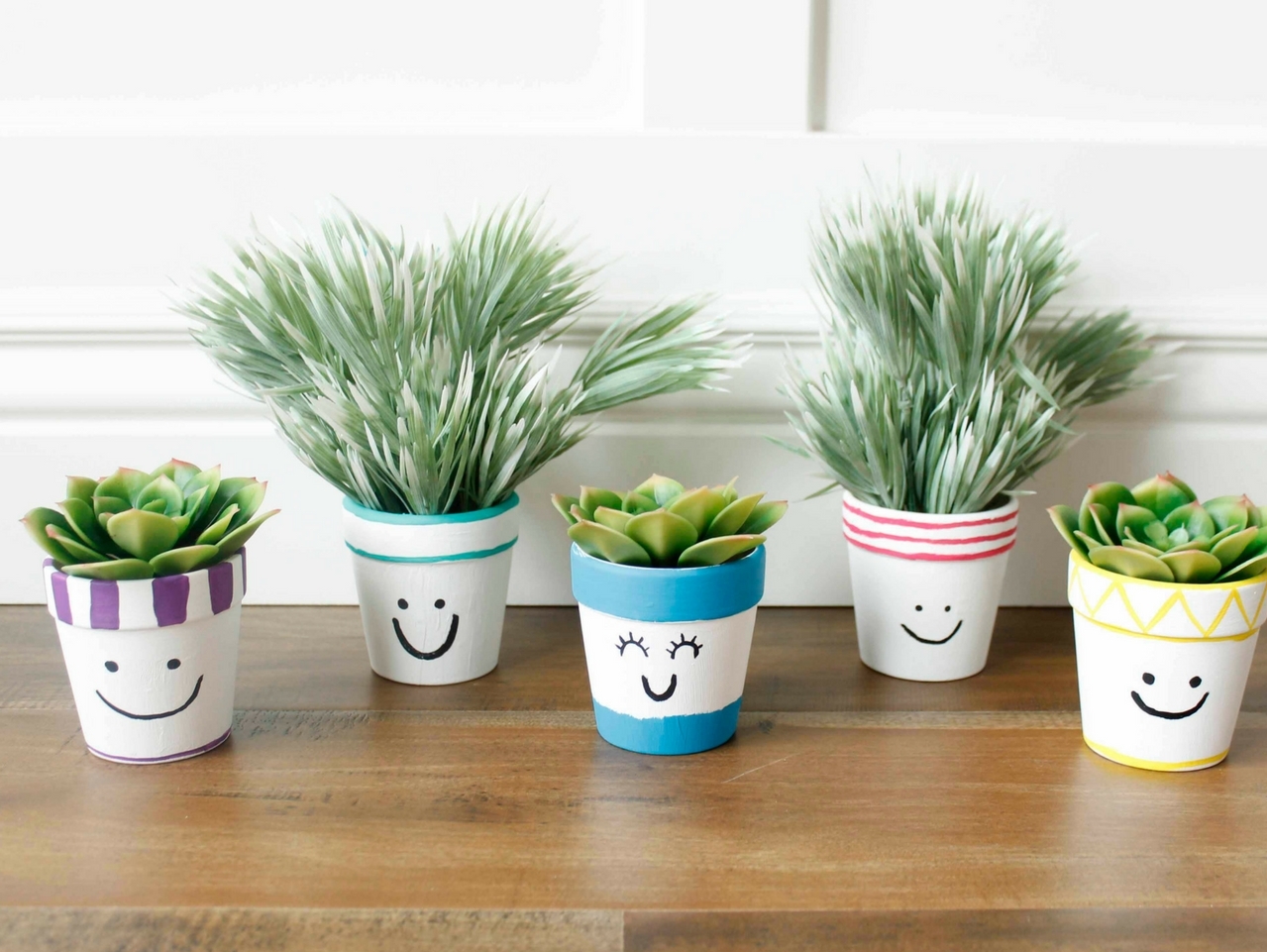 DIY Painted Face Plant Pots | Fun365