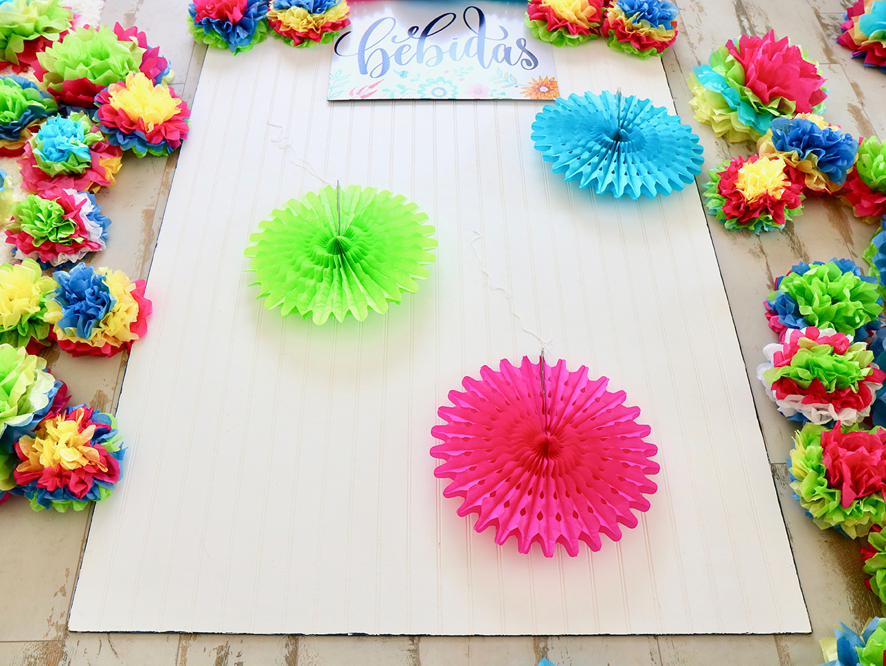 Tissue Paper Flower Backdrop | Fun365