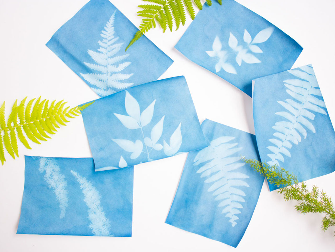 Sun Print Leaf Art using just leaves and sun-sensitive paper! Photo from Fun 365 Oriental Trading