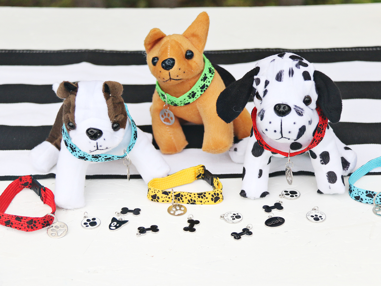 Puppy Adoption Kit Fun365