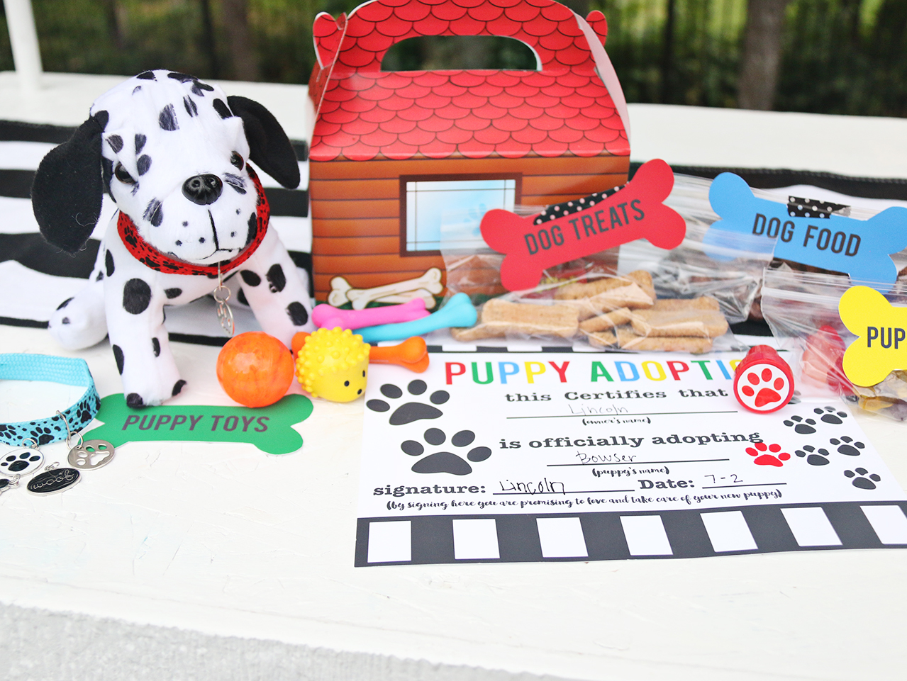 Puppy Adoption Kit Fun365