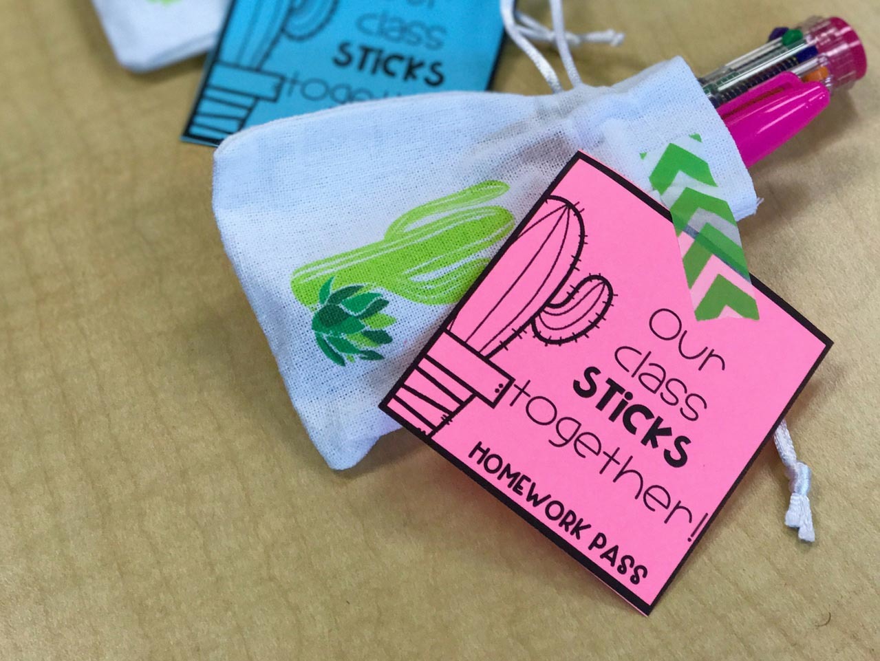 Meet the Teacher Cactus Theme Gift for Students | Fun365