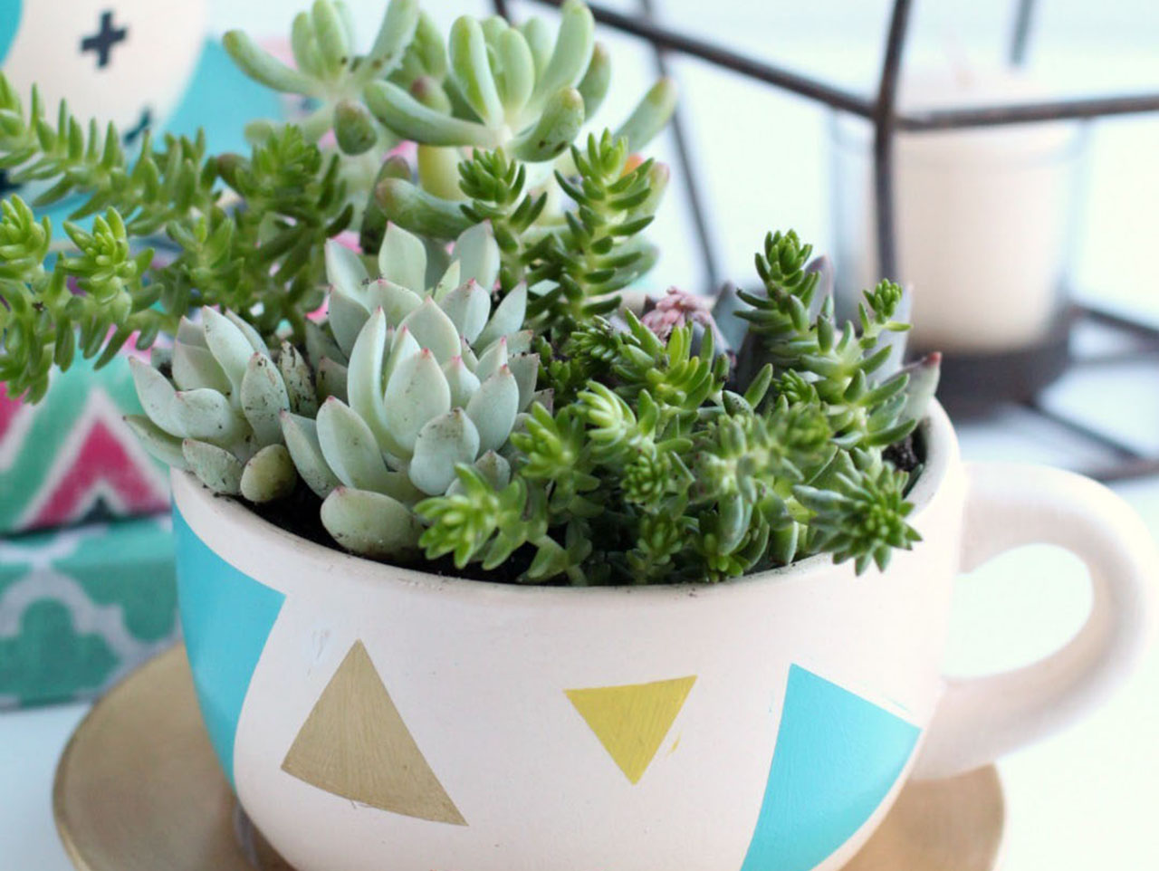 DIY Ceramic Tea Cup Planters - 6 Pc.