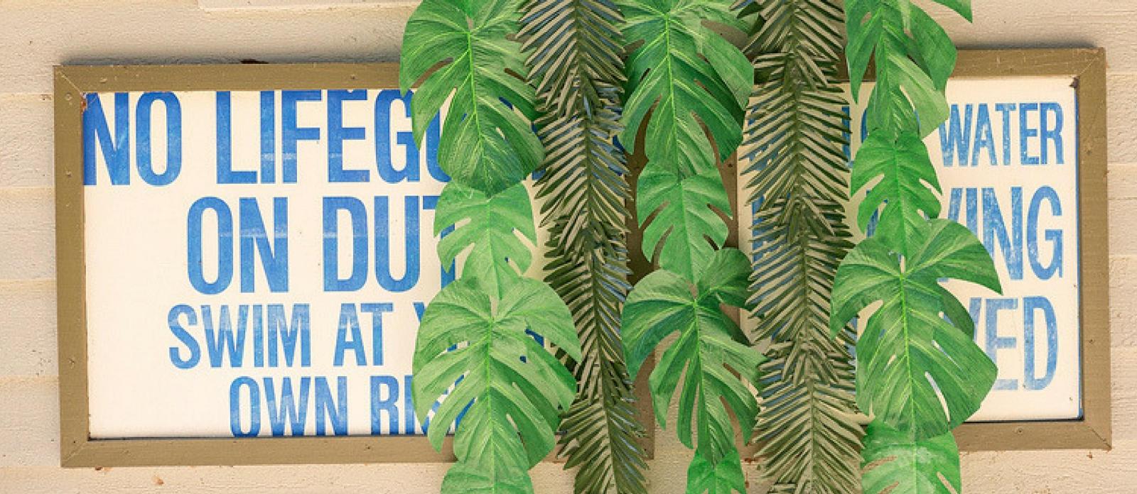 DIY Leaf Backdrop