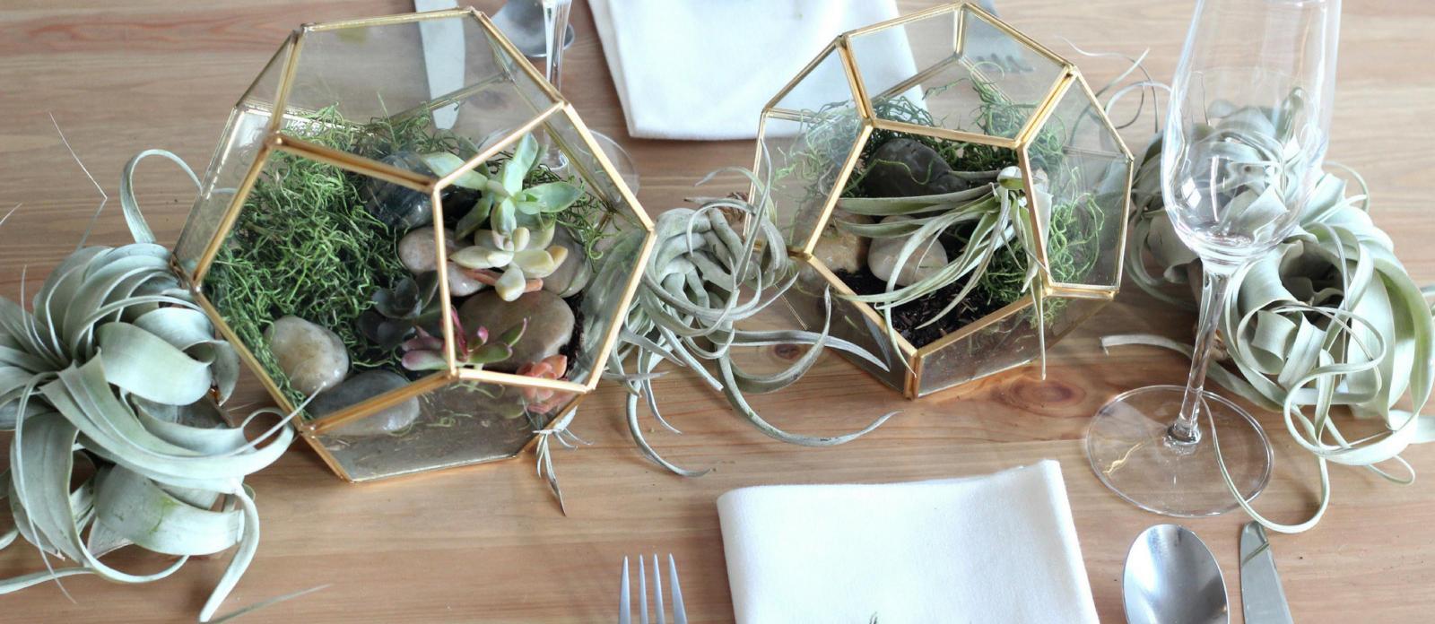 17 Terrarium Centerpieces for the Seriously Cool Couple
