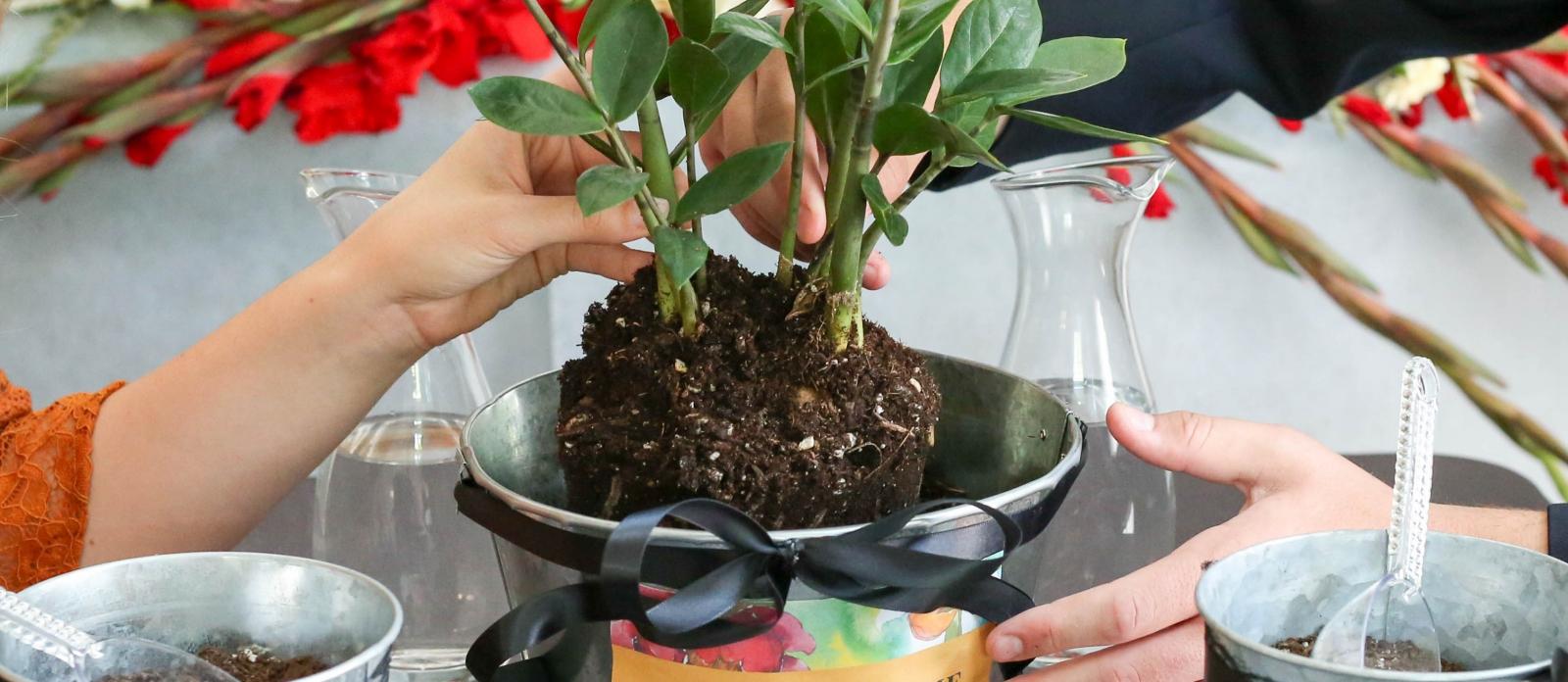 Wedding Ceremony Tree Planting Idea