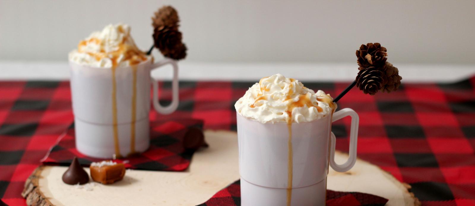DIY Pine cone Drink Stirrers 
